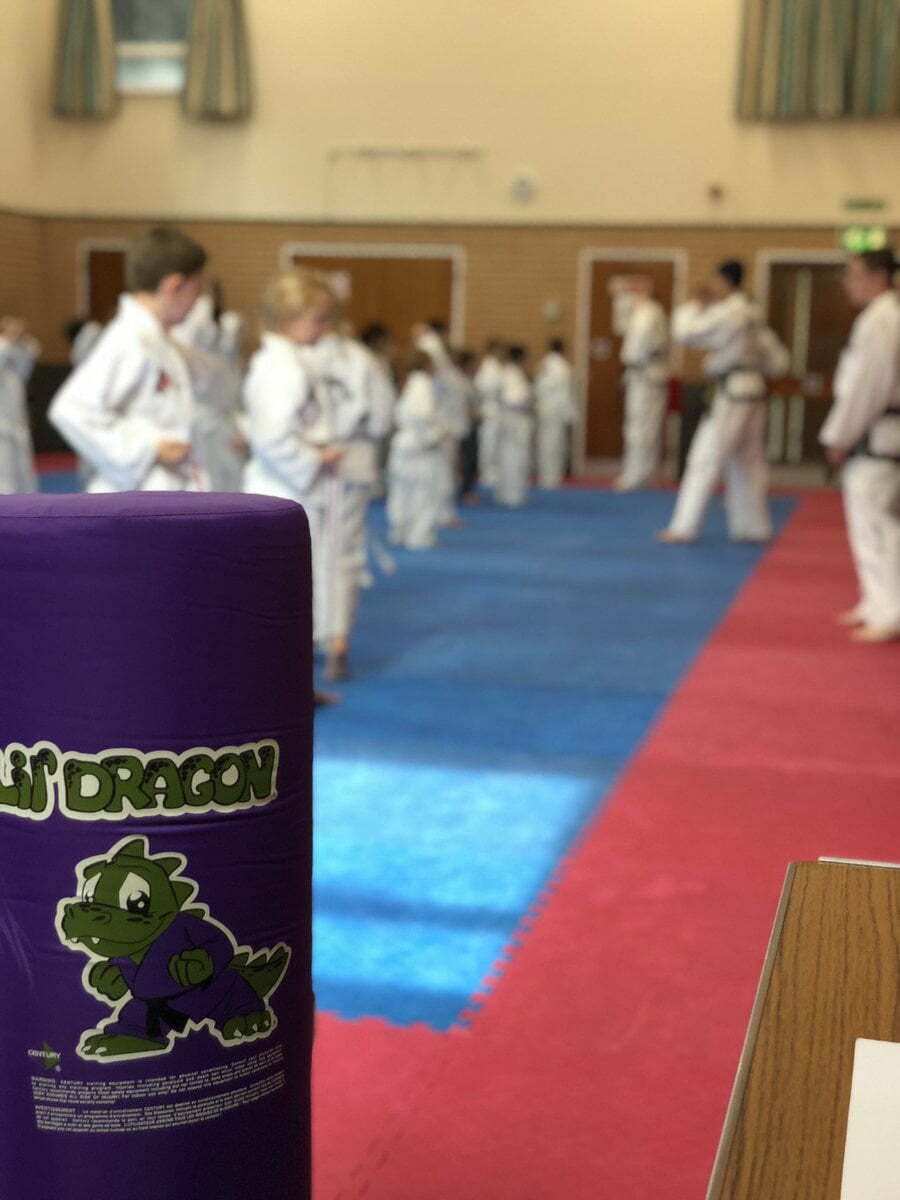 Little Dragons Taekwondo Class in Kettering